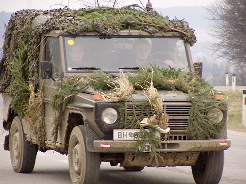 200402221947_puchg.jpg